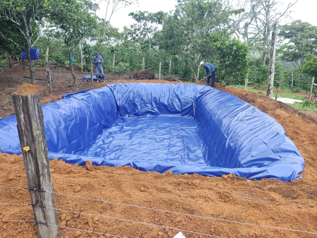 Tela prosolar en Cali